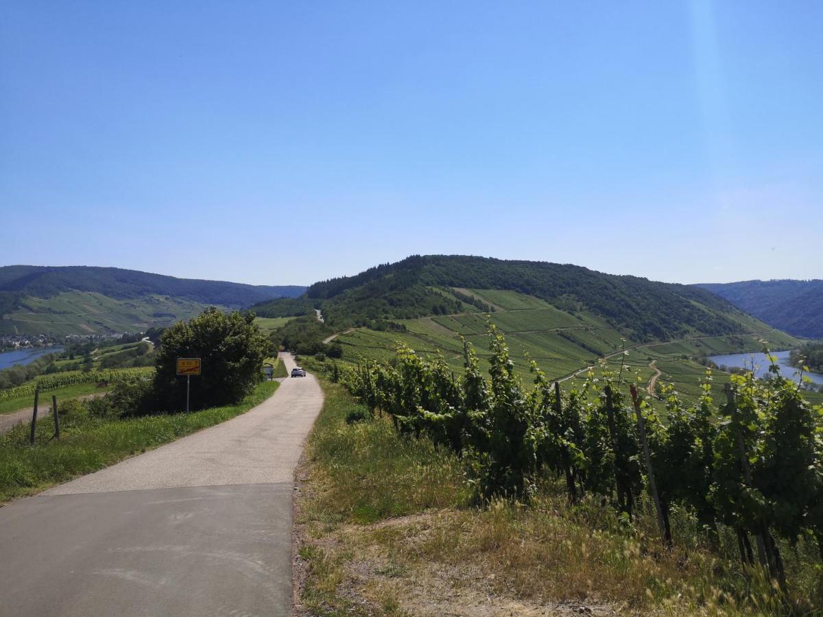 Casa Mosella Lägenhet Enkirch Exteriör bild