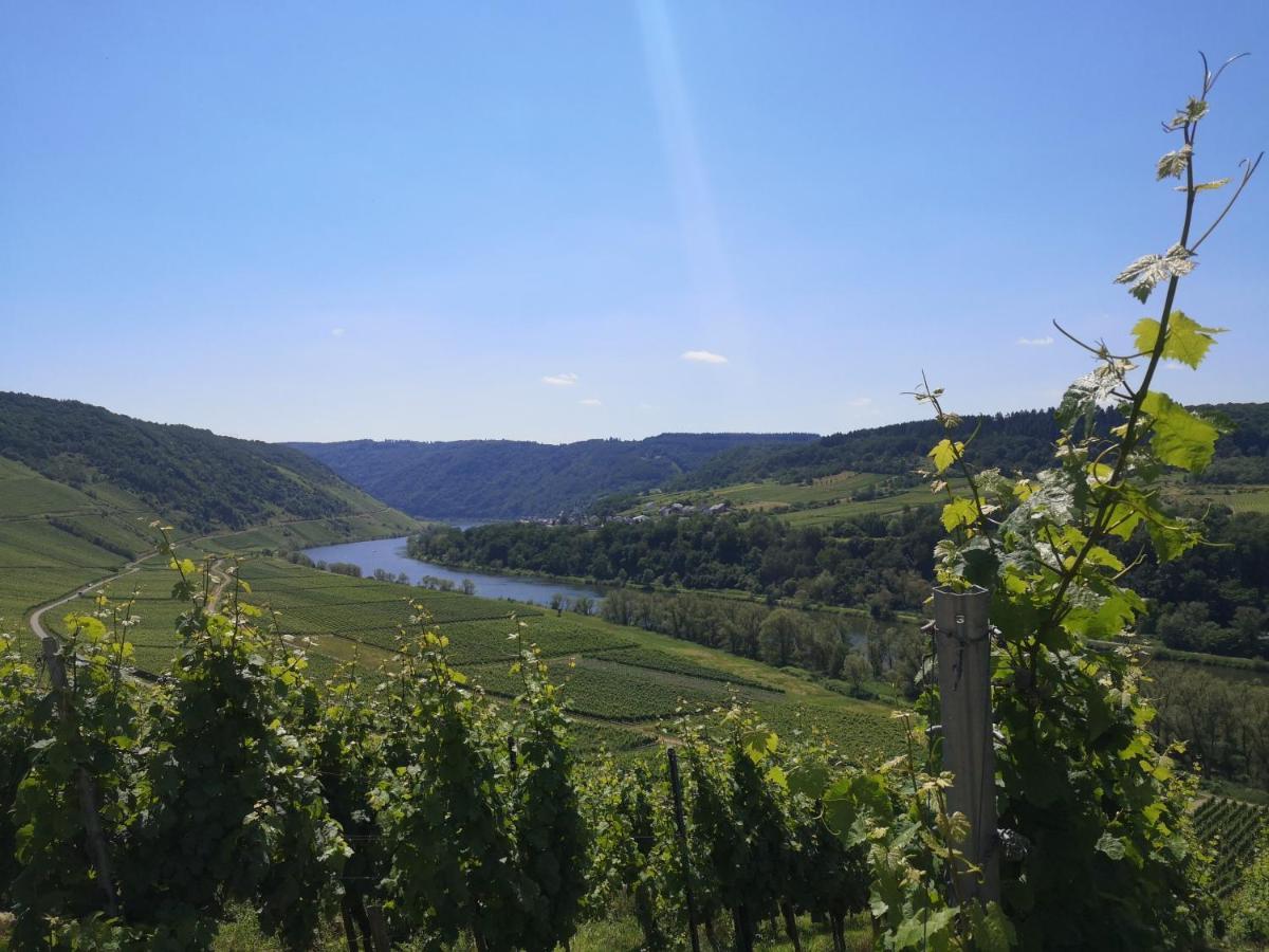 Casa Mosella Lägenhet Enkirch Exteriör bild